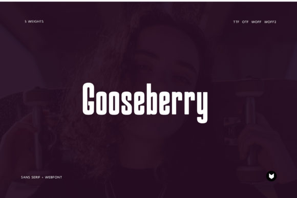 Gooseberry Display Font Review: A Modern Typeface for Creative Projects