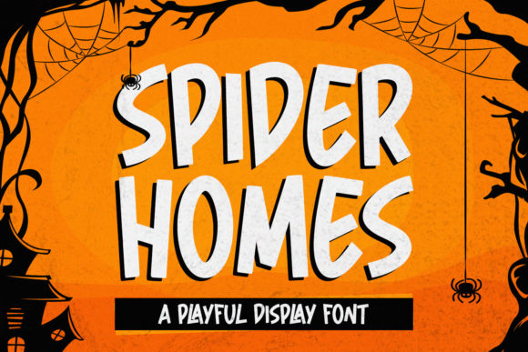 Spider Home Font for Web Design